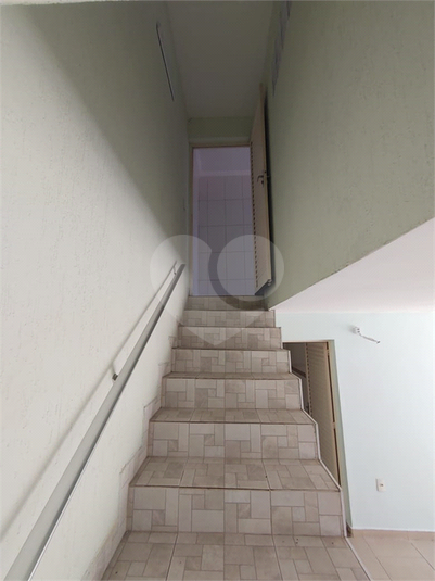 Foto REO330061