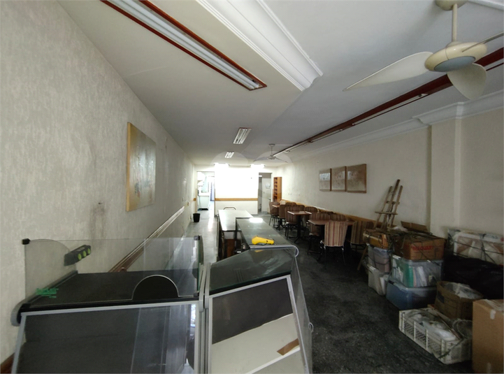 Foto REO330286
