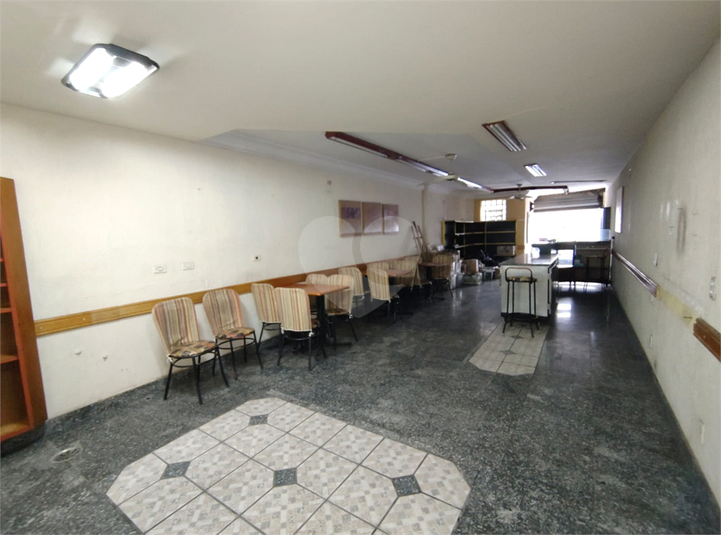 Foto REO330286