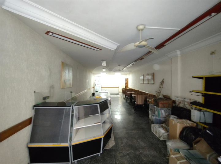 Foto REO330286