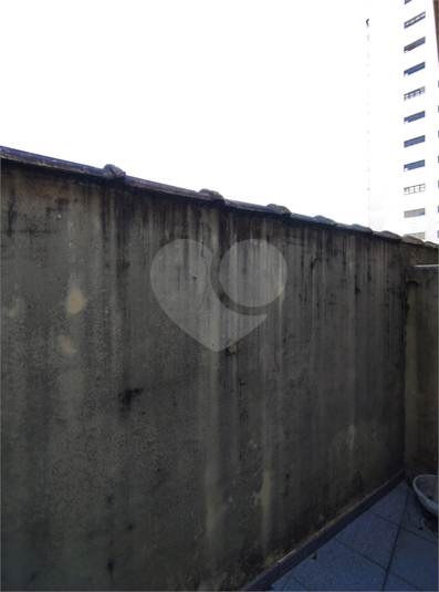 Foto REO330286