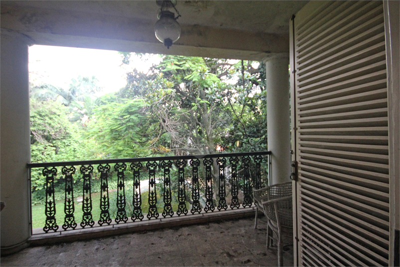 Foto REO330342