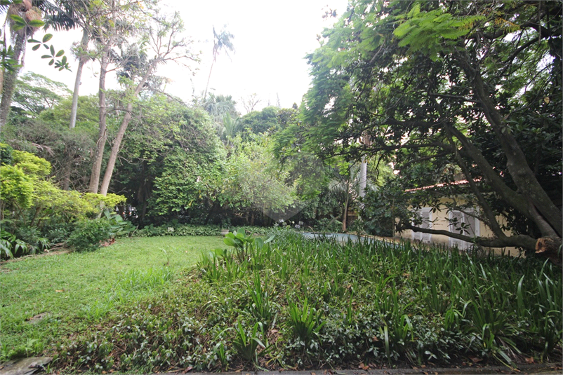 Foto REO330342