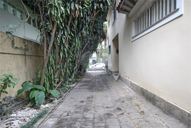 Foto REO330342
