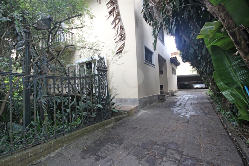 Foto REO330342