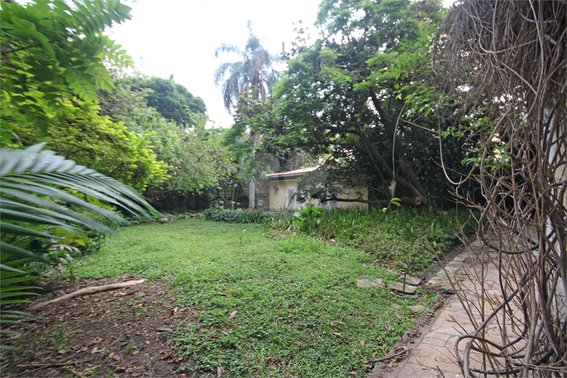 Foto REO330342