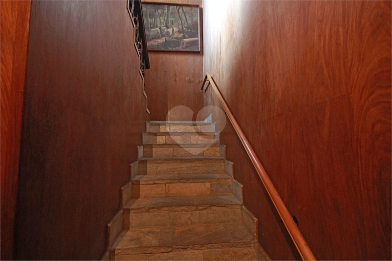Foto REO330342