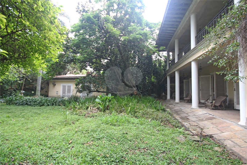 Foto REO330342