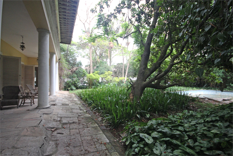 Foto REO330342