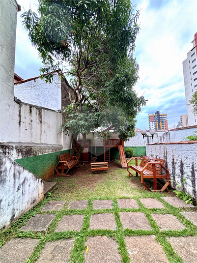 Foto REO330513