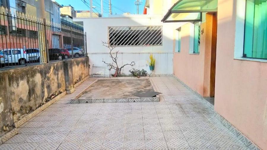 Foto REO331061