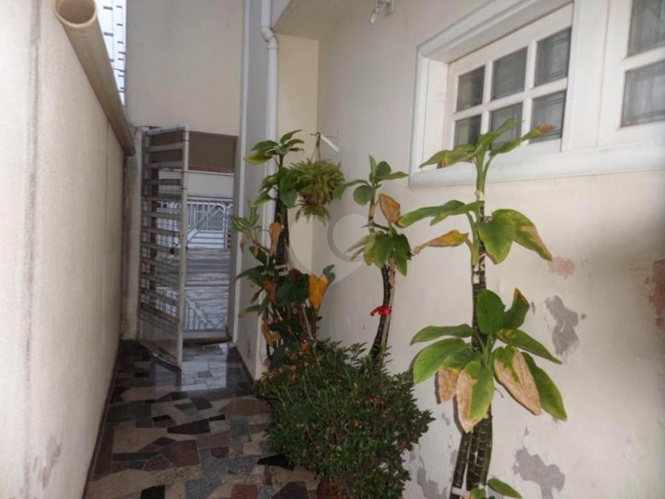 Venda Casa Campinas Jardim Campos Elíseos REO331093 4