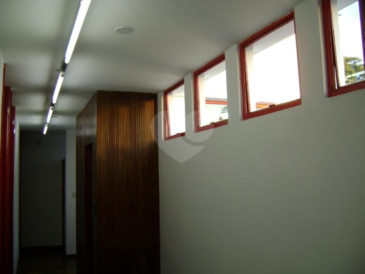 Foto REO331144