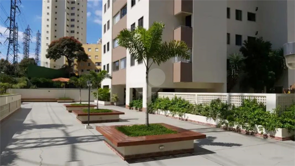 Venda Apartamento São Paulo Vila Hamburguesa REO331210 24