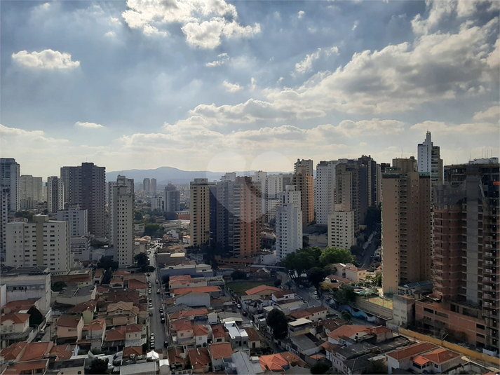 Foto REO331392