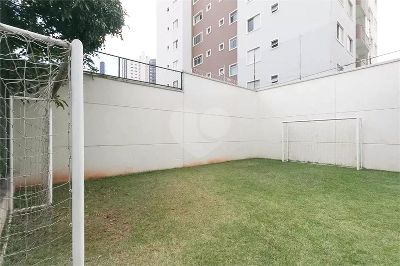 Foto REO331792