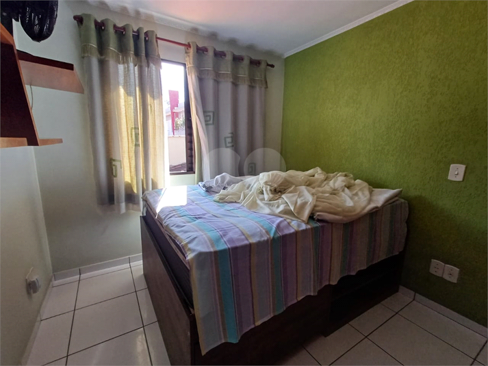 Foto REO331853