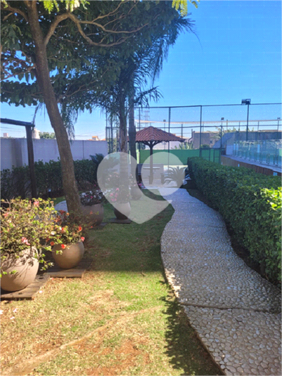 Foto REO332144