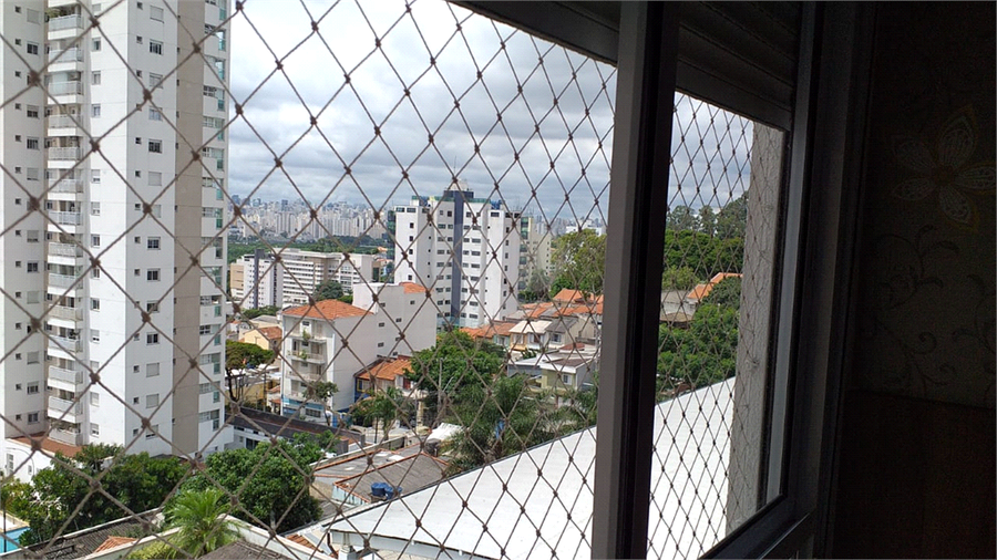 Foto REO332182