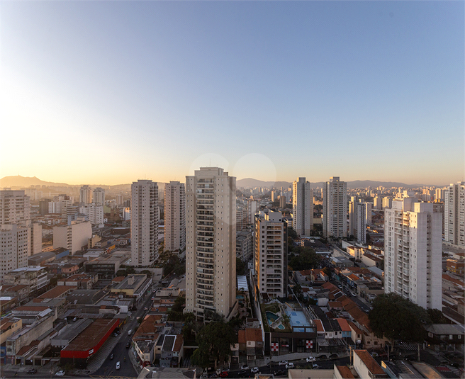 Foto REO332509