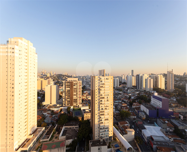 Foto REO332509