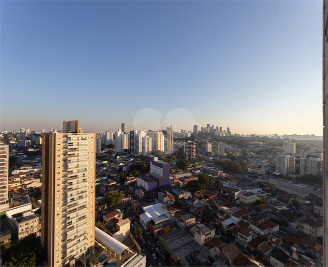 Foto REO332509