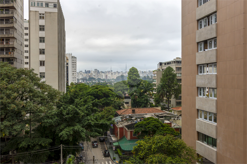 Foto REO332536