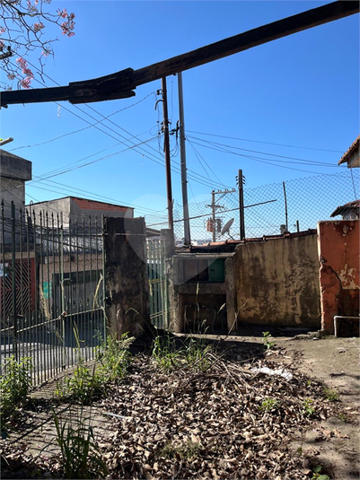 Foto REO333424