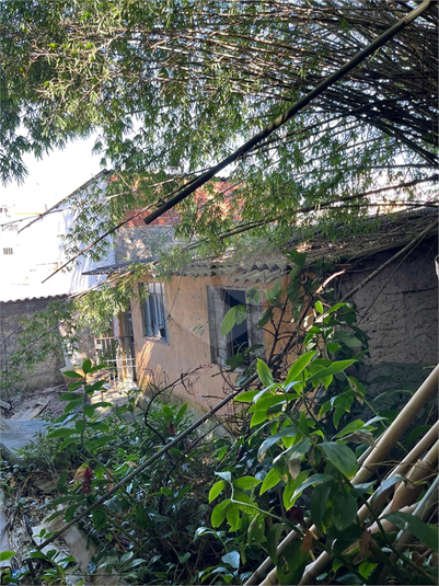 Foto REO333424