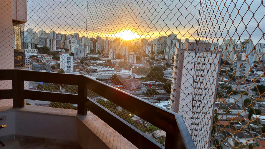 Foto REO333683