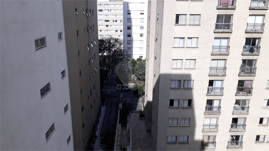 Foto REO333927