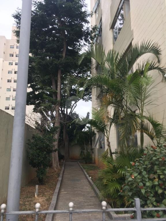 Venda Apartamento São Paulo Vila Celeste REO334168 7