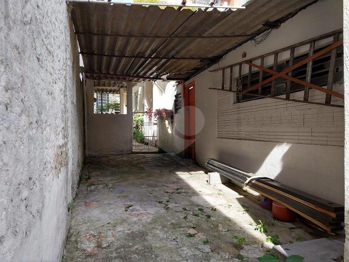 Foto REO334194