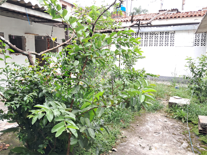 Venda Casa térrea São Paulo Butantã REO33495 20