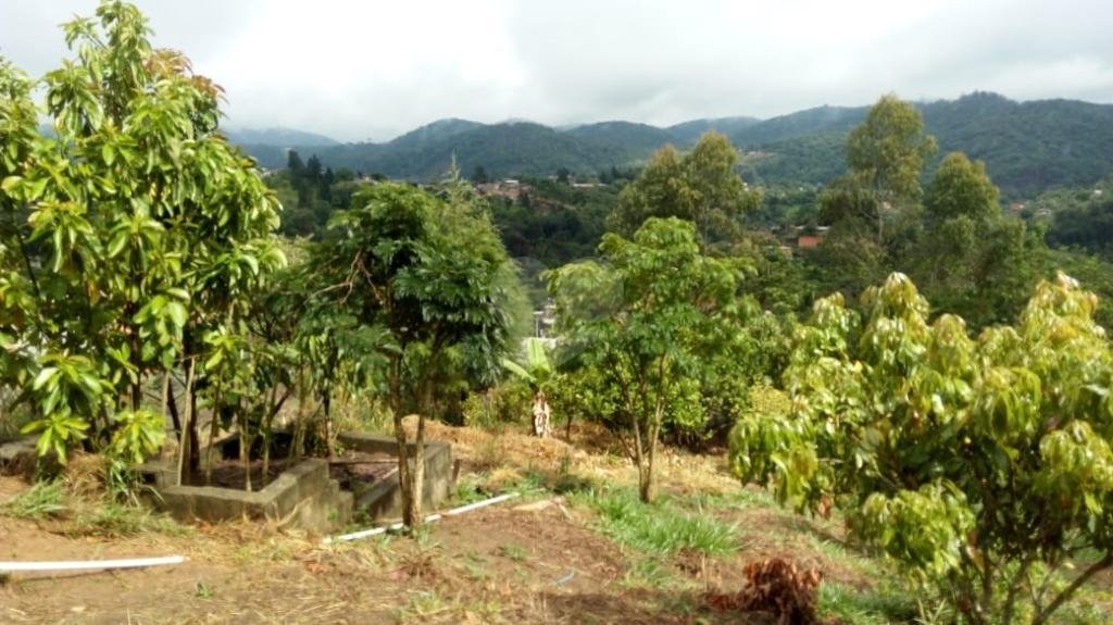 Venda Chácara Itapevi Chácaras Monte Serrat REO335190 14