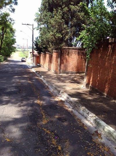 Foto REO33522