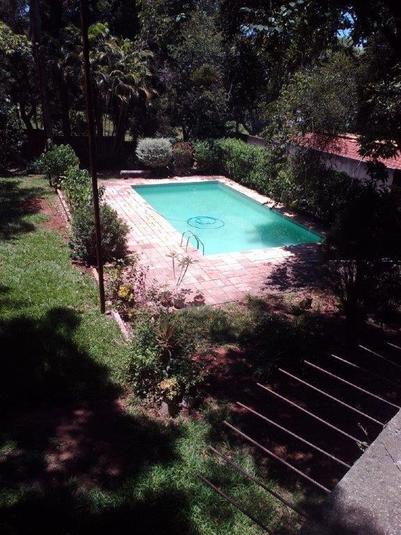 Foto REO33522