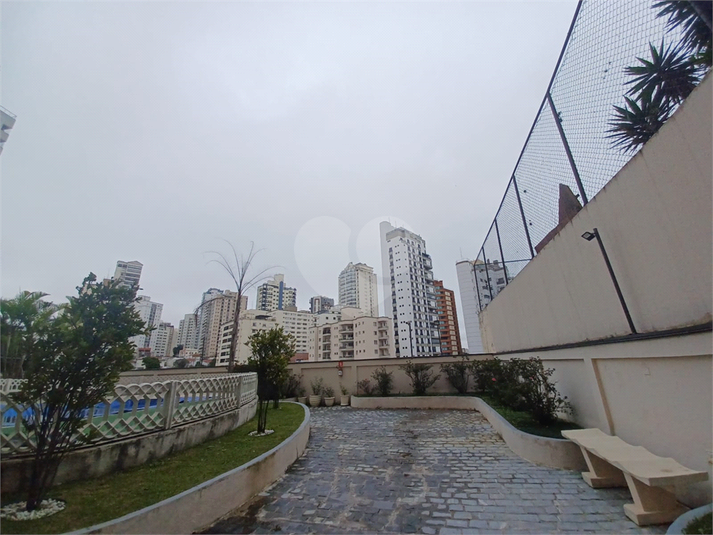 Foto REO335271
