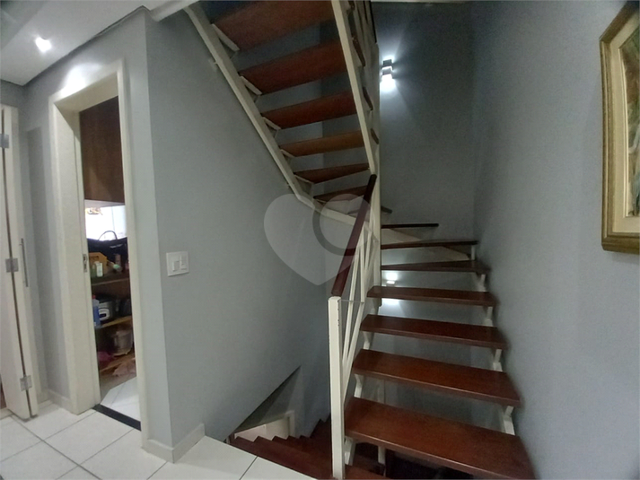 Foto REO335467