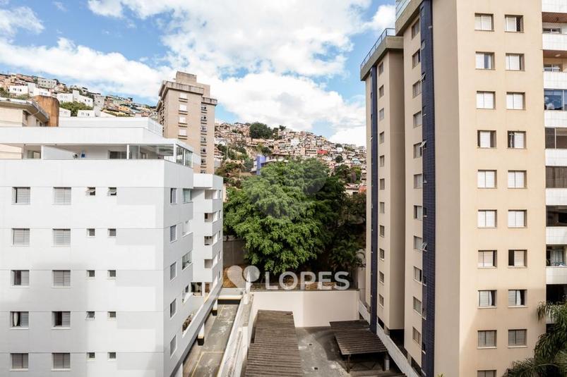 Apartamento, 3 Quartos Para Alugar - Santo Antônio, Belo Horizonte | Lopes