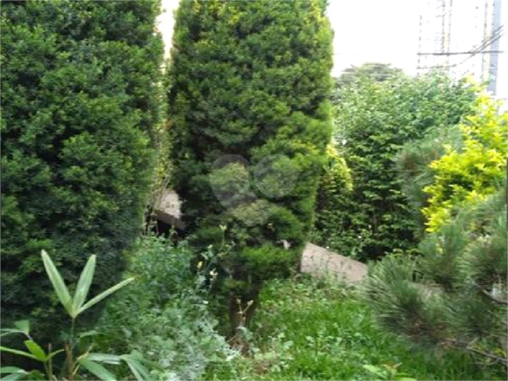 Foto REO338717