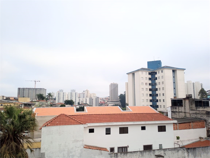 Foto REO339072