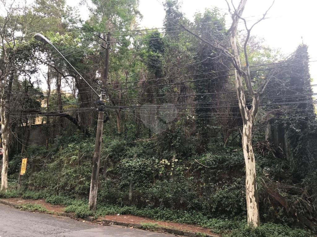 Venda Terreno São Paulo Cidade Jardim REO339340 11