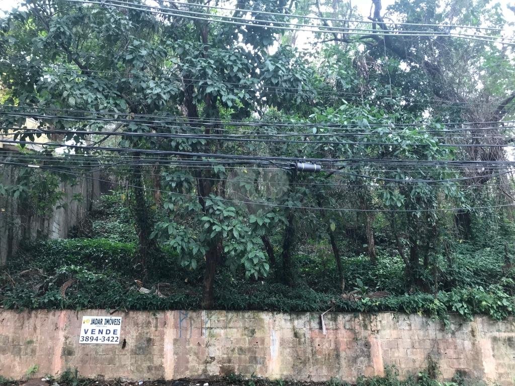 Venda Terreno São Paulo Cidade Jardim REO339340 3