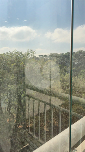 Foto REO339608