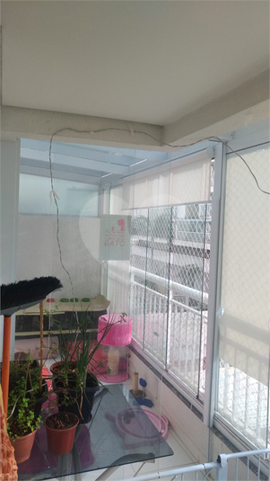 Foto REO339608