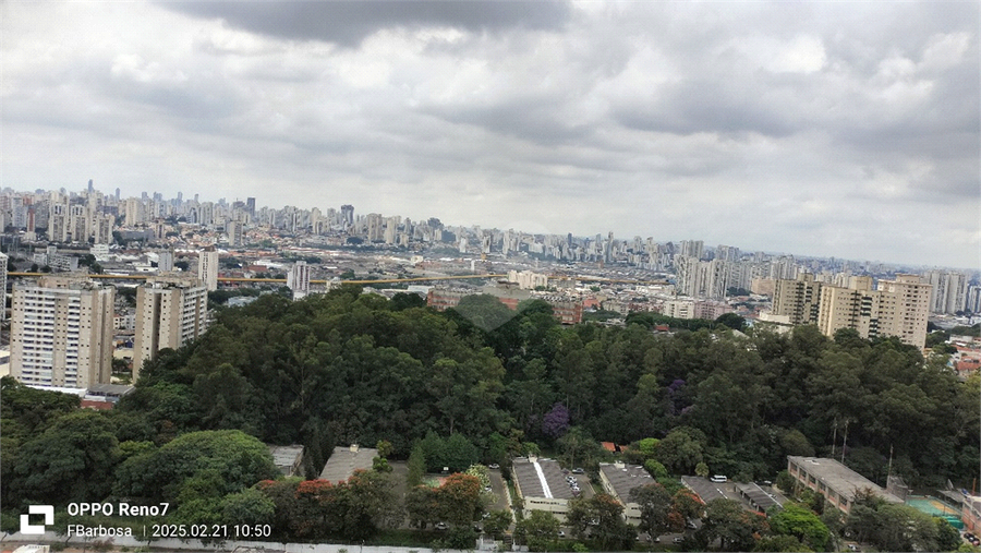 Foto REO340073