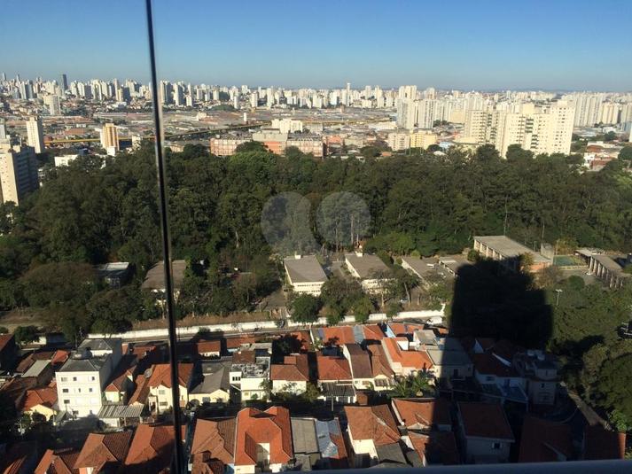 Foto REO340073