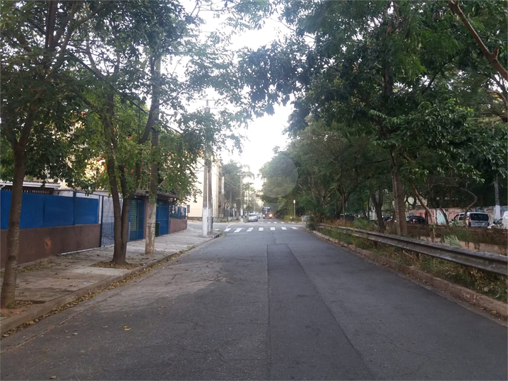Foto REO340333