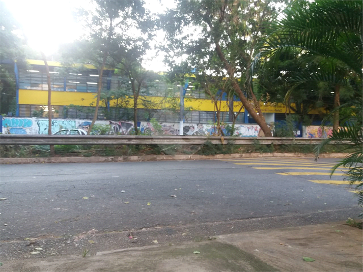 Foto REO340333